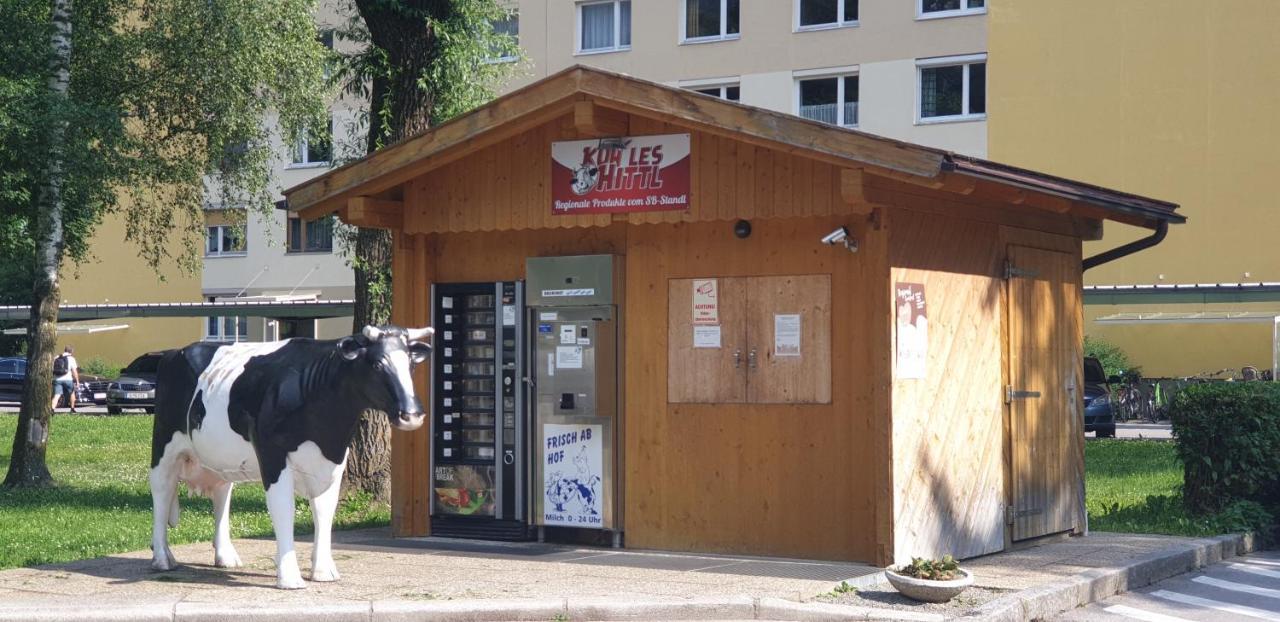 Ferienwohnung Singer Vols Dış mekan fotoğraf
