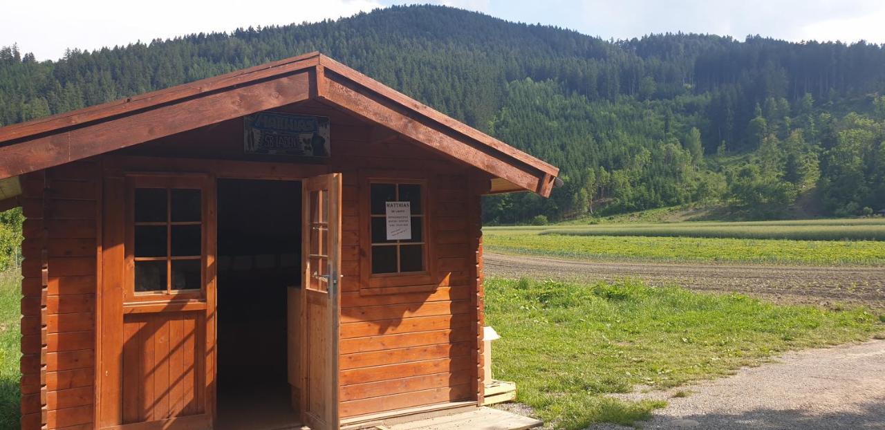 Ferienwohnung Singer Vols Dış mekan fotoğraf